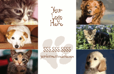 Animal Boarding/Grooming/Veterinary Care PostCard